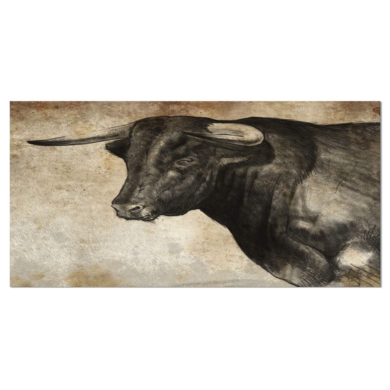 Designart - Spanish Bull Sketch - Animal Art On Canvas